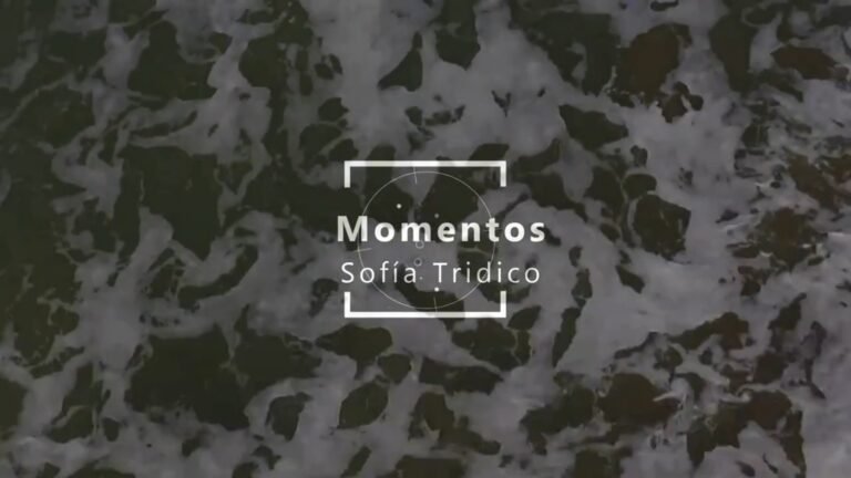 MOMENTOS de Sofia Trídico – SINGLE (2017)